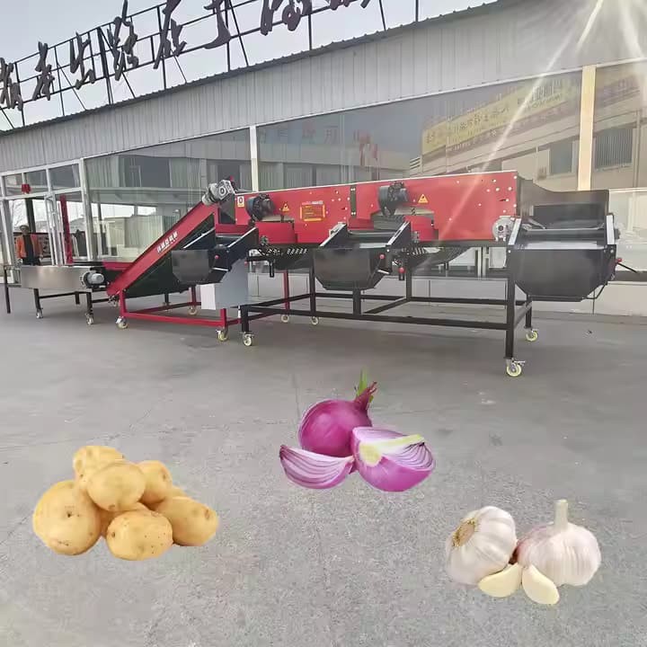 Automatic Onion Size Grading Sorting Machine Auto Industrial Onions Sizing Sorter Grader Machines Equipment Cheap Price For Sale