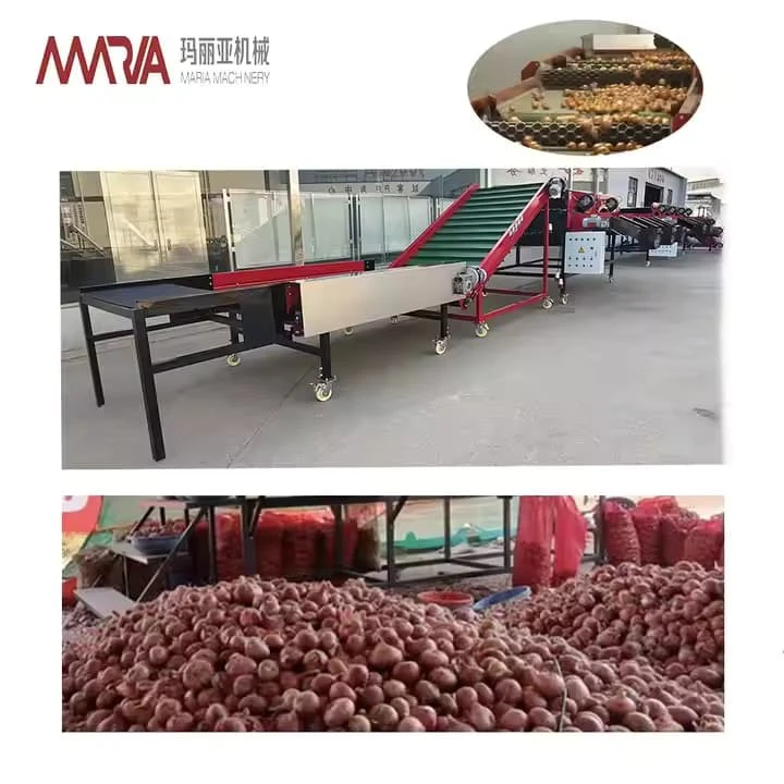 Automatic Onion Size Grading Sorting Machine Auto Industrial Onions Sizing Sorter Grader Machines Equipment Cheap Price For Sale