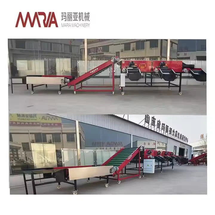 Automatic Onion Size Grading Sorting Machine Auto Industrial Onions Sizing Sorter Grader Machines Equipment Cheap Price For Sale