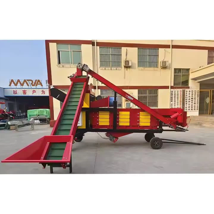 High Efficiency Garlic Splitter Machine 304 Stainless Steel 2000 Garlics/Minute Commercial Use Garlic Splitting And Sorting