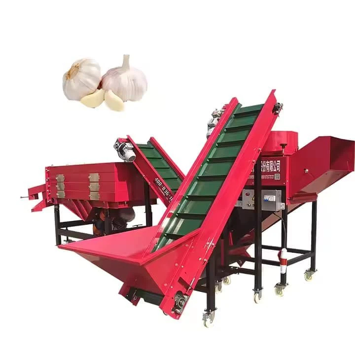 High Efficiency Garlic Splitter Machine 304 Stainless Steel 2000 Garlics/Minute Commercial Use Garlic Splitting And Sorting