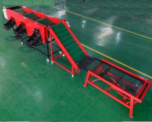 Оборудование для сортировки чеснок